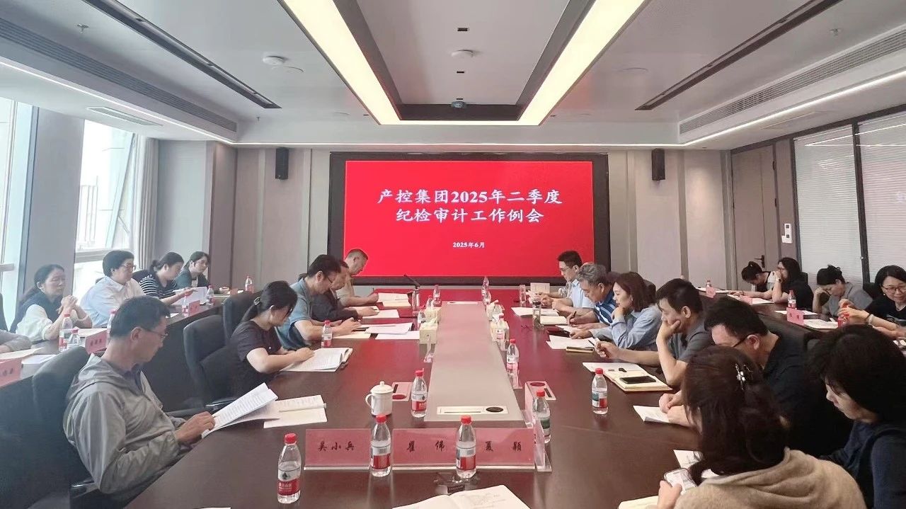 產(chǎn)控集團(tuán)組織召開2025年二季度紀(jì)檢、審計(jì)工作例會(huì)